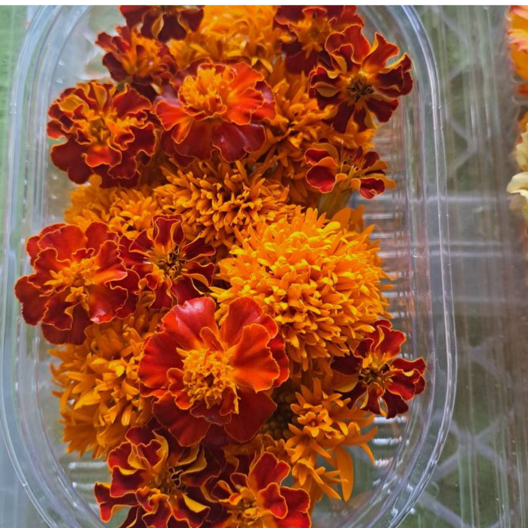 Edible flowers - Marigold 50g