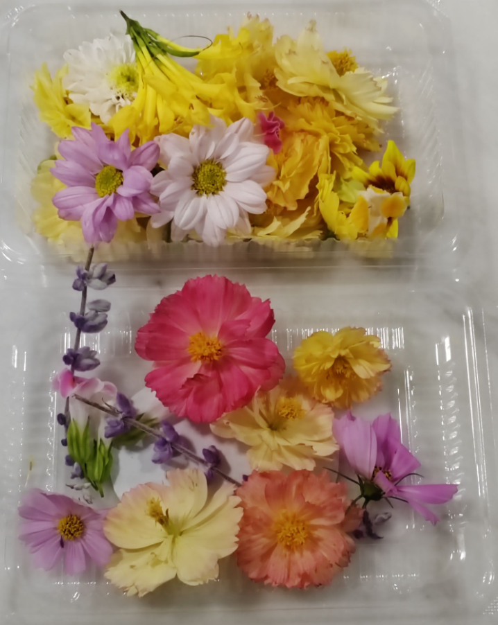 Edible flowers - Mix 50g (Copy)