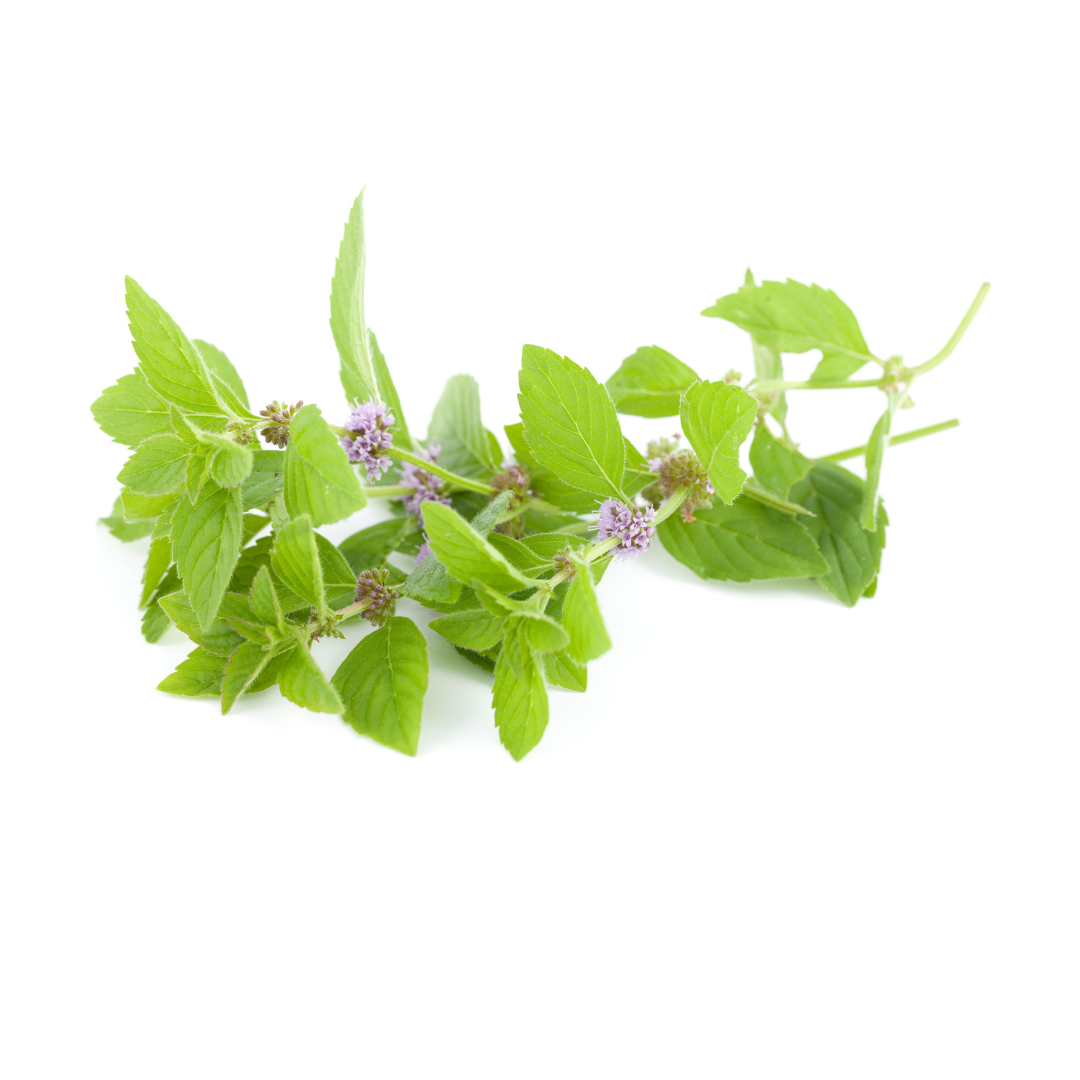 Spearmint 30g
