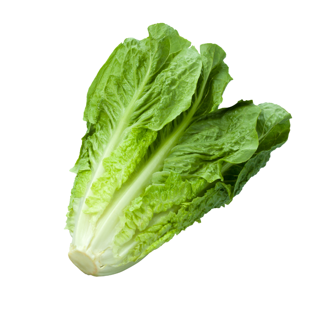 Romaine Lettuce 250g