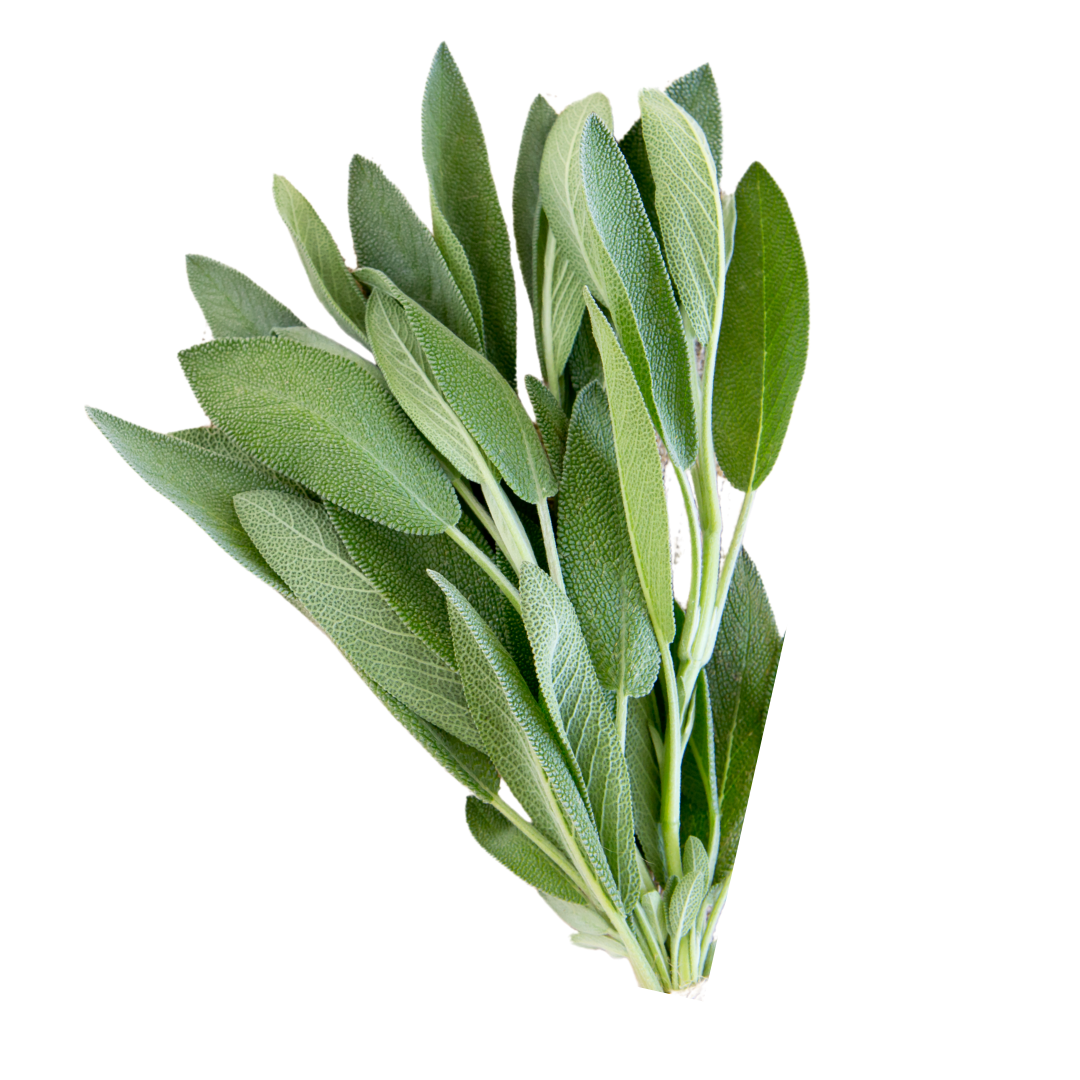 Sage 30g