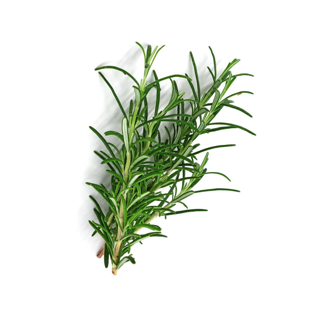 Rosemary 30g