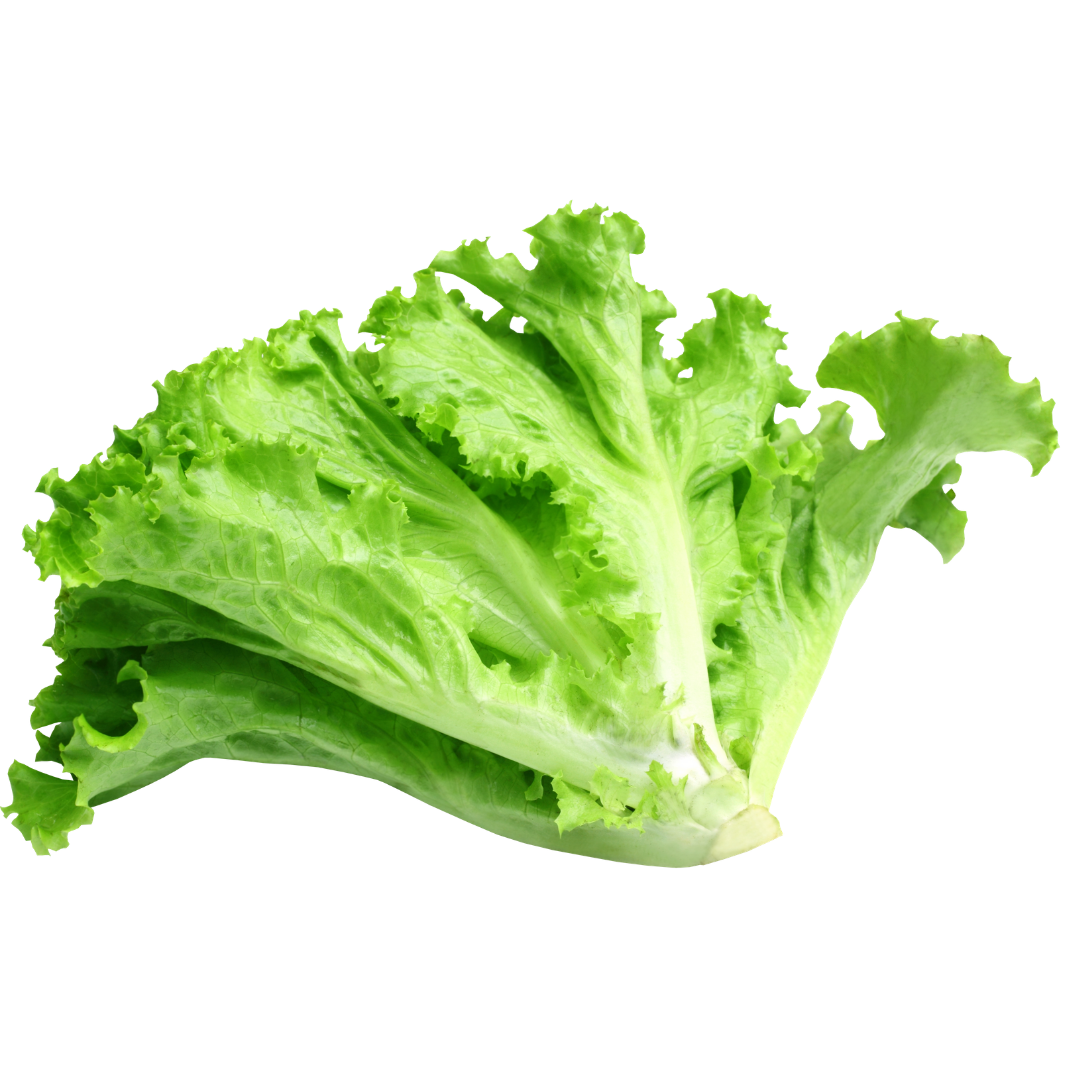 Curly Green Lettuce 250g