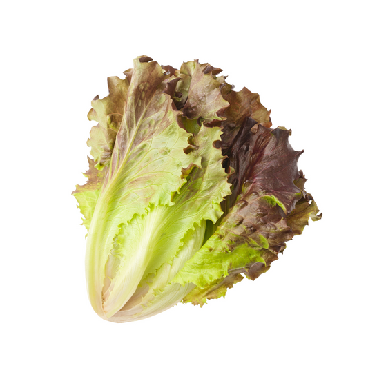 Red Lettuce 250g