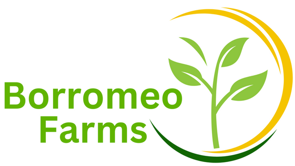 Borromeo Farms