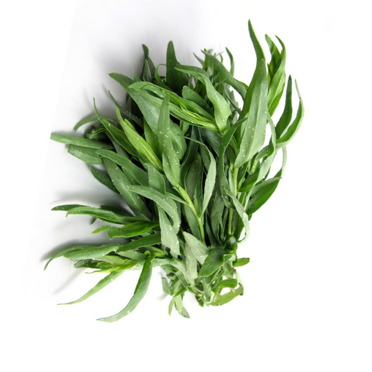 French Tarragon 30g
