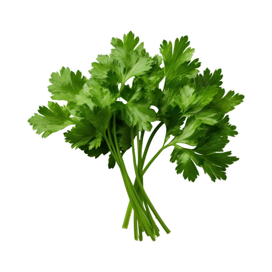 Italian Flat Parsley 30g