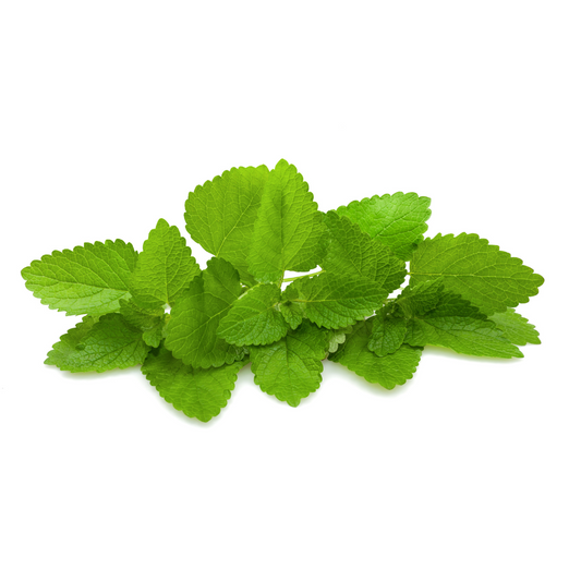 Lemon Balm 30g