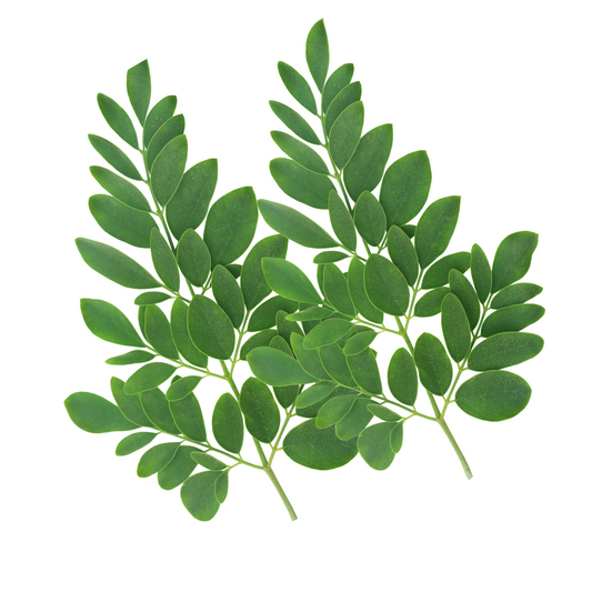 Malunggay 250g