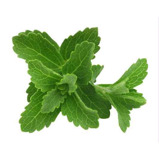 Stevia 30g