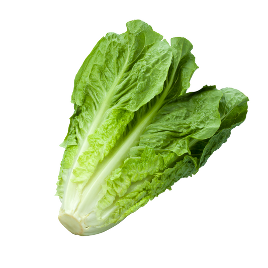 Romaine Lettuce 250g