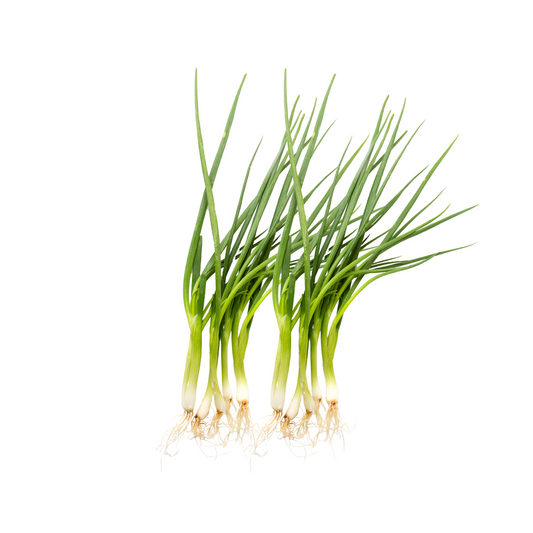 Spring Onion 250g