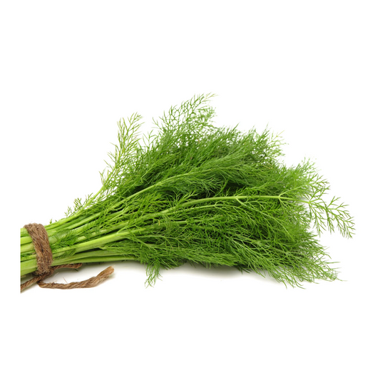 Dill 30g