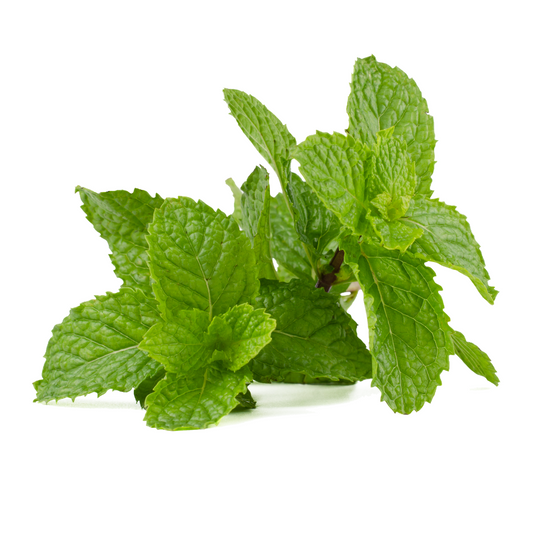 Peppermint 30g