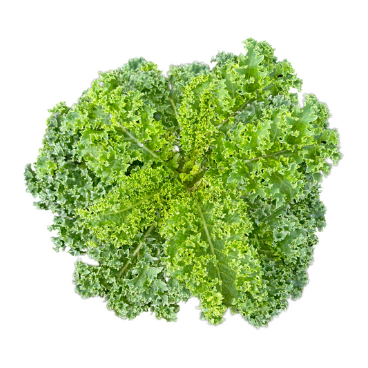 Green Curly Kale 200g