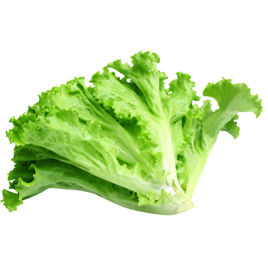 Curly Green Lettuce 250g